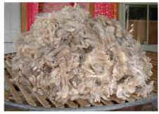 oatmeal fleece
