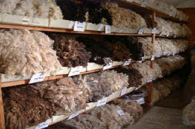 fleece shed at shop