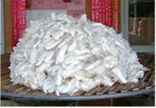 white corriedale fleece